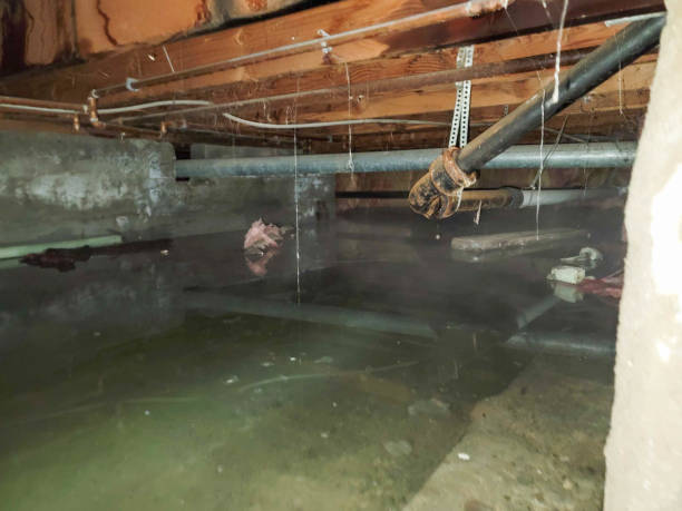 Best Water damage restoration near me  in Sullivan City, TX