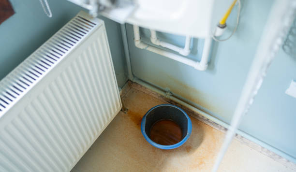 Best Flood restoration services  in Sullivan City, TX