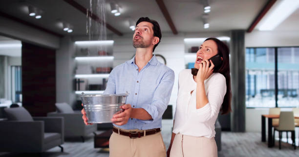 Best Sewage cleanup and water damage restoration  in Sullivan City, TX