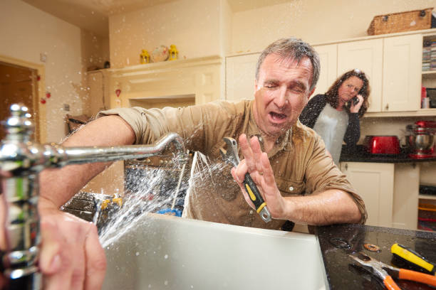 Best Local water damage restoration  in Sullivan City, TX